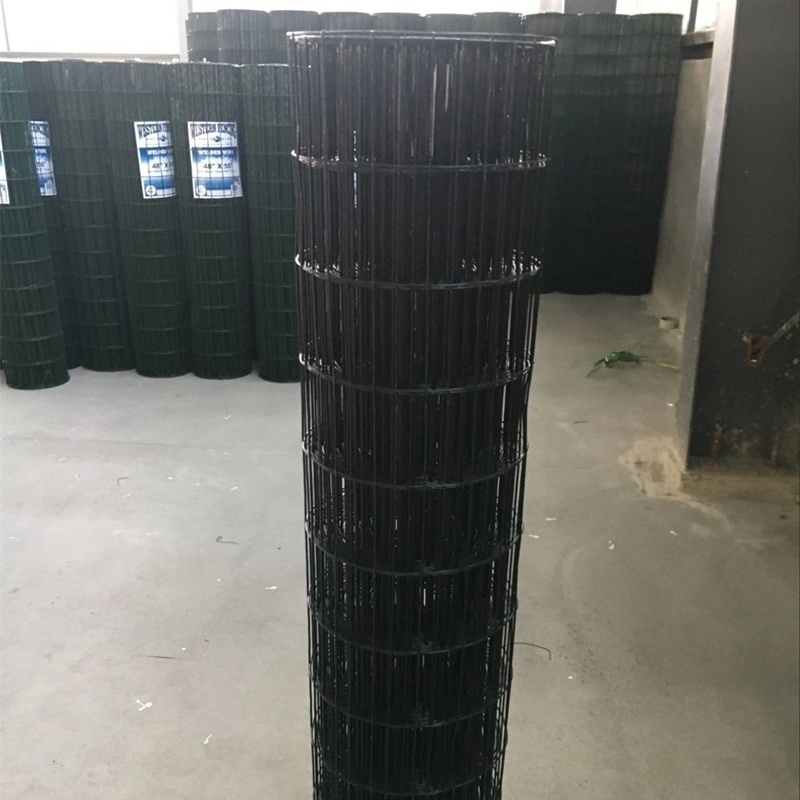 Galvanized or PVC Coated Steel Welded Wire Mesh