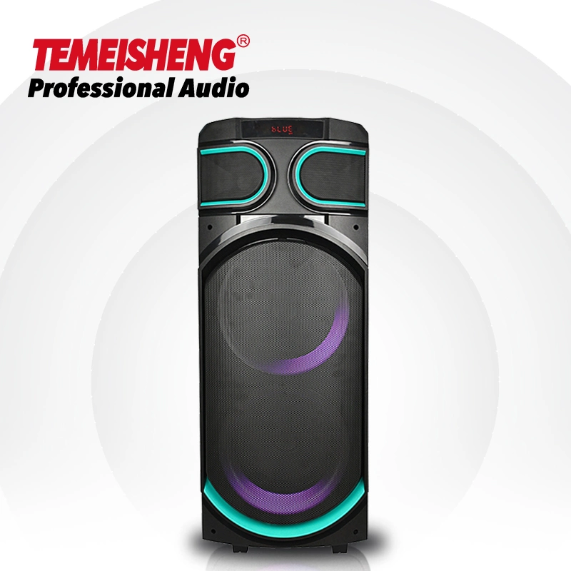 Temeisheng 8 Inch Party Box 100 Watt Professional Portable Wireless Audio Blueotth Speaker with Microphone