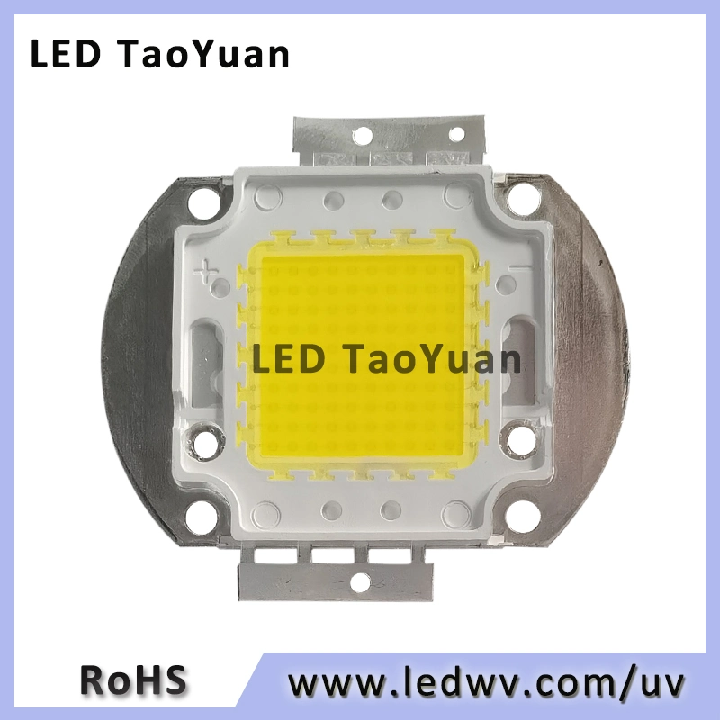 100W High Power White LED Warm White/Neutral White/Cold White