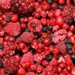 Gefriergetrocknete Liningonberry, Fd Liningonberry, Beeren Aus China