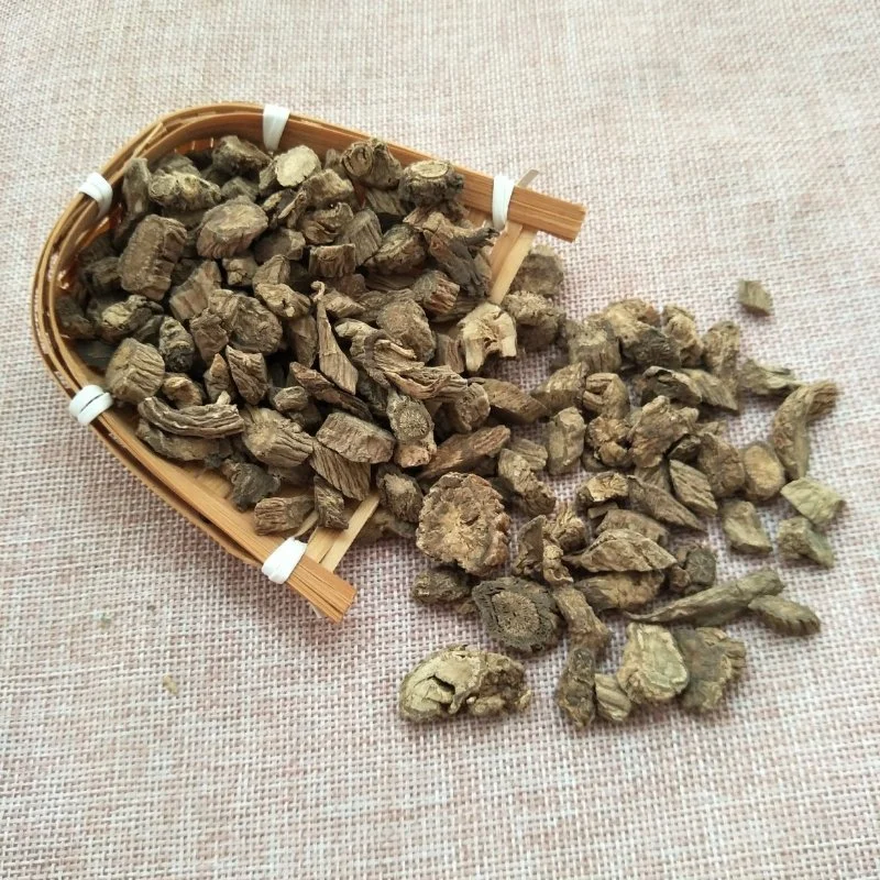 Chuan Xu Duan Factory Supply Natural Herb Medicine Dipsacus asperoides for Health