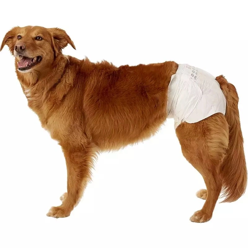 Disposable Pet Baby Adult Dog Diapers Disposable Male High Absorbent Dog Diaper