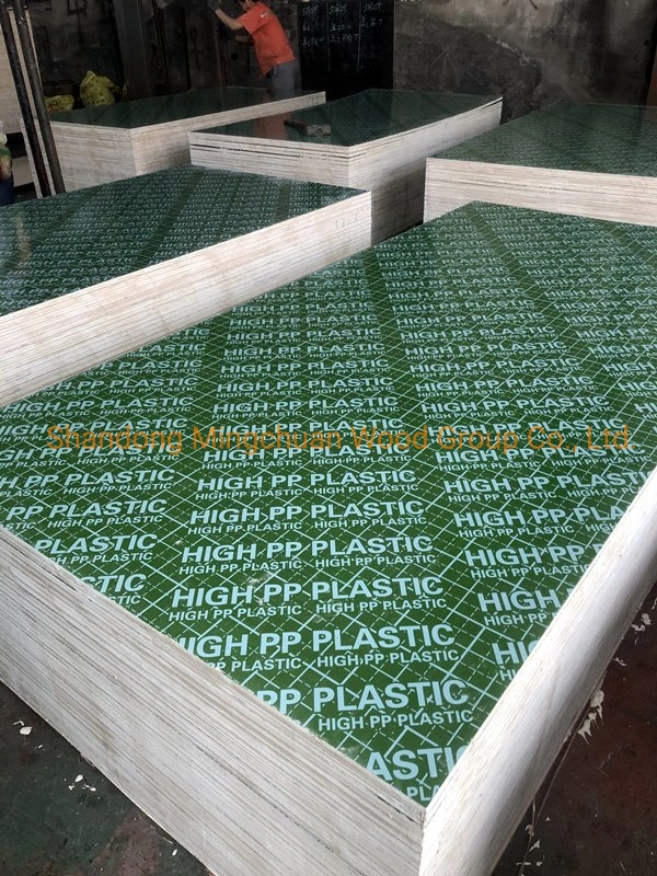 18mm Green Plastic Film Faced Plywood PVC Board Hardwood PP Plywood