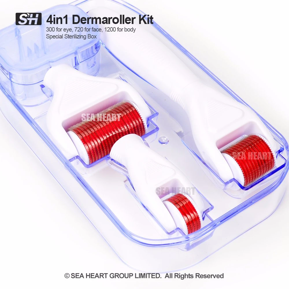 2023 heißes Produkt 0,5 Micro Derma Roller 4 im Jahr 1 Set für Hautpflege