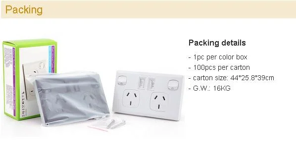 SAA Wall Plug Socket with Panel Has Switch, Dual AC Outlets and 2 USB Ports, Using Home, Office, Hotel, Office. White, Sliver, Black