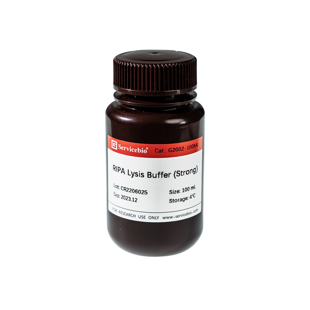 Lab Ripa Lysis Buffer Strong for Immunol Precipitation Fit Animal Plant