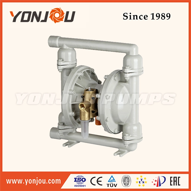 Qby-40 Engineering Plastics Diaphragm Pump, Micro Diaphragm Pump, Wilden Pump