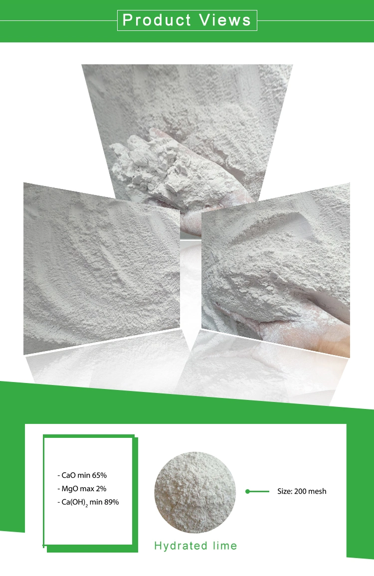 Food Grade Calcium Hydroxide/Ca (OH) 2 Powder/Hydrated Lime 90% Ca (OH) 2