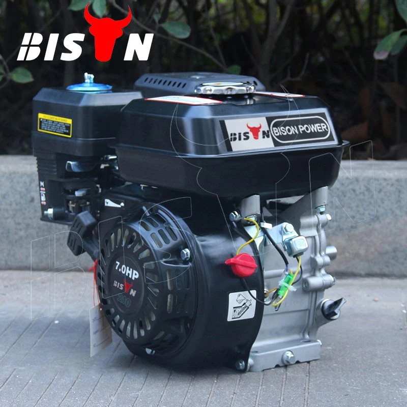 China Bison 7.0HP Air Cooled 4-Stroke Motor Engine for Gasoline Generator