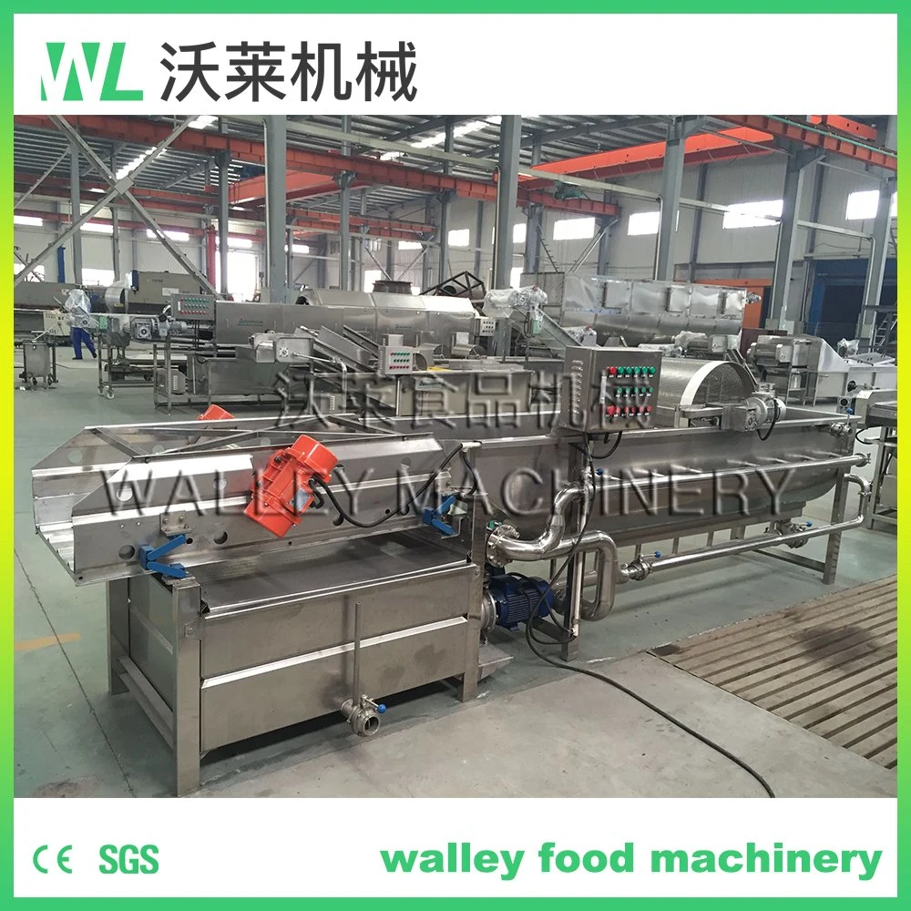 High Rebuy Short Small Vegetable and Fruit Washer Vortex