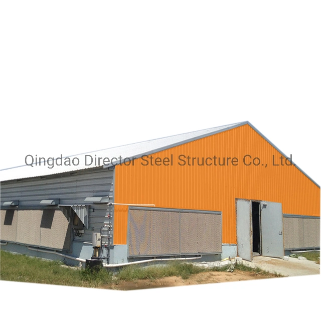 High Quality H-Type Galvanized Steel Frame Chicken House Poultry Farm Shed