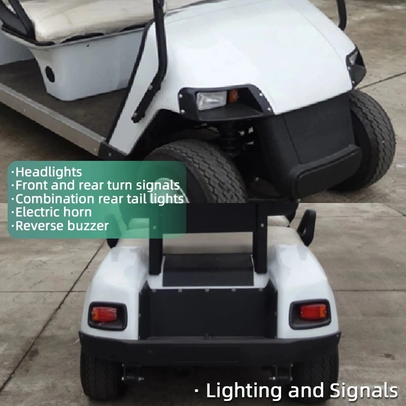 China Supplier Golf Cart Custom 2 4 6 Seater Golf Car Utility Vehicles