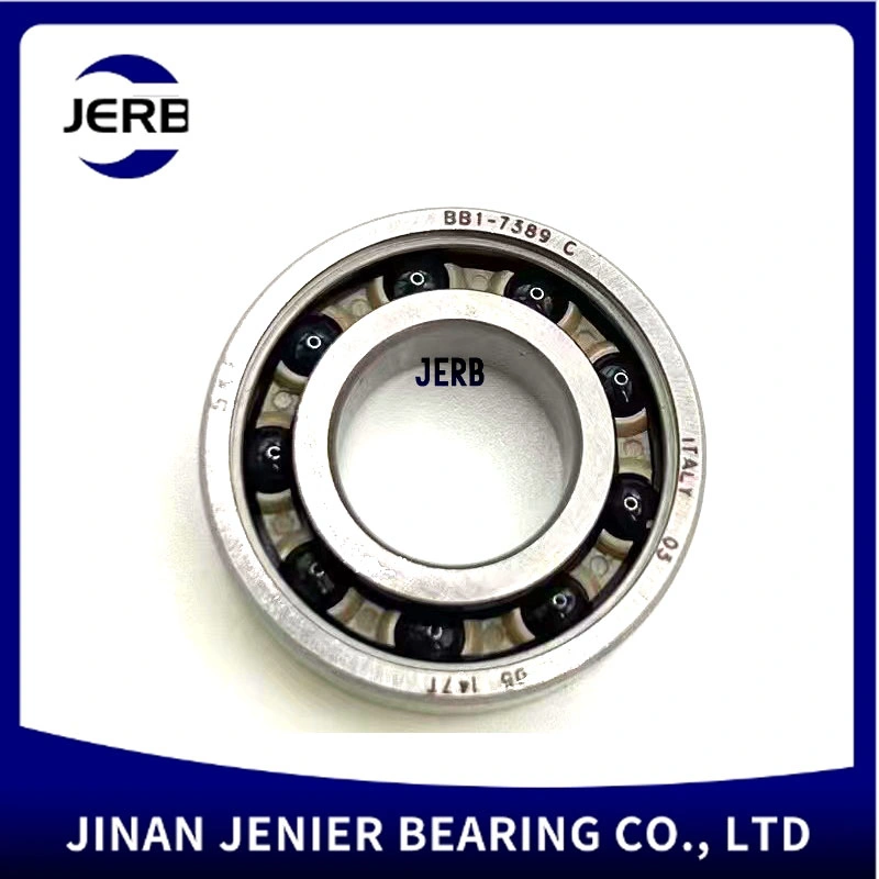 Generator Ceramic High Temperature Stainless Steel Bb1-7069 Bb1-9527 Bb1-3343 Bb1-0287 Bb1-0322 Deep Groove Ball Bearing