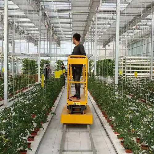 Estilos de tabela de elevador de tesoura especializado em estufa a plataforma/carrinho Carrinho para colheita de frutos da Posição Alta