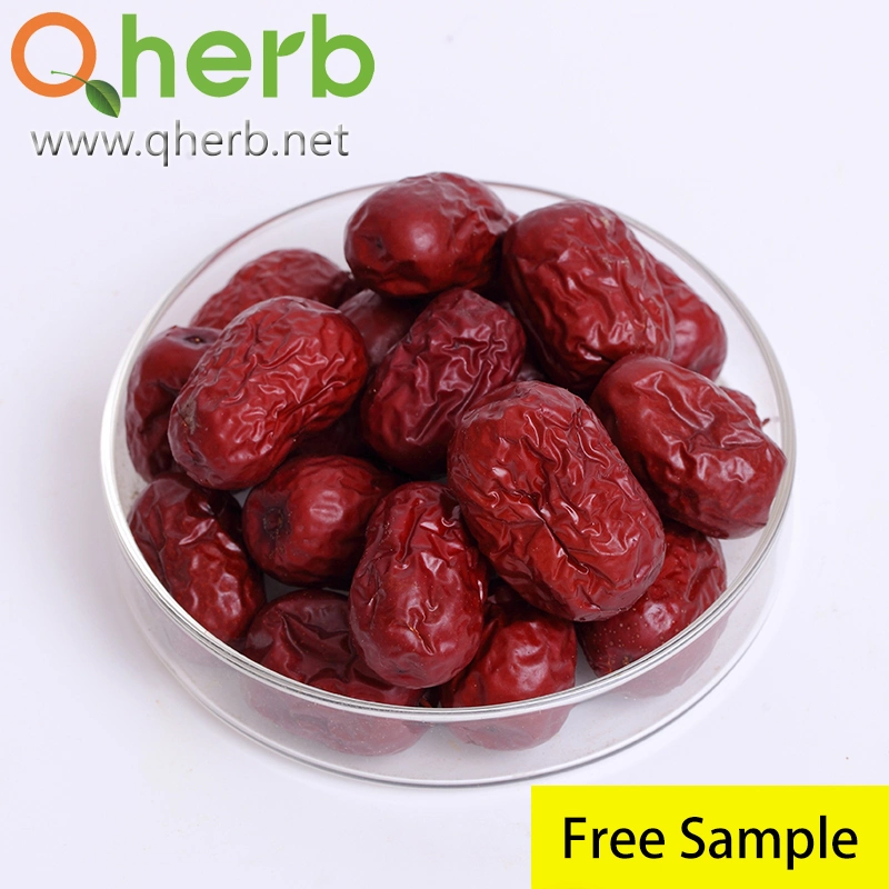 Natural Red Date Fruchtsaft 80 Mesh Wild Jujube Seed Pulver