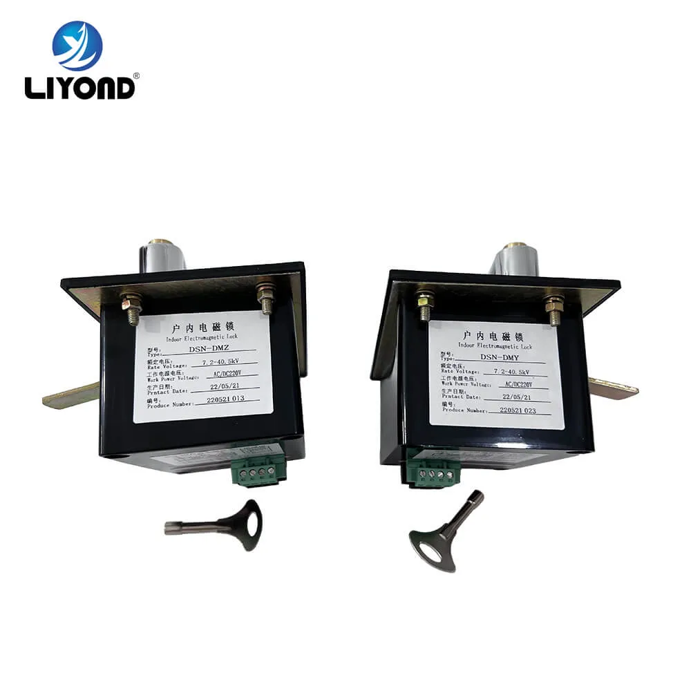 Indoor Electromagnetic Lock Dsn-Dm Type Left Open/Right Open AC/DC220V/110V with Display Function