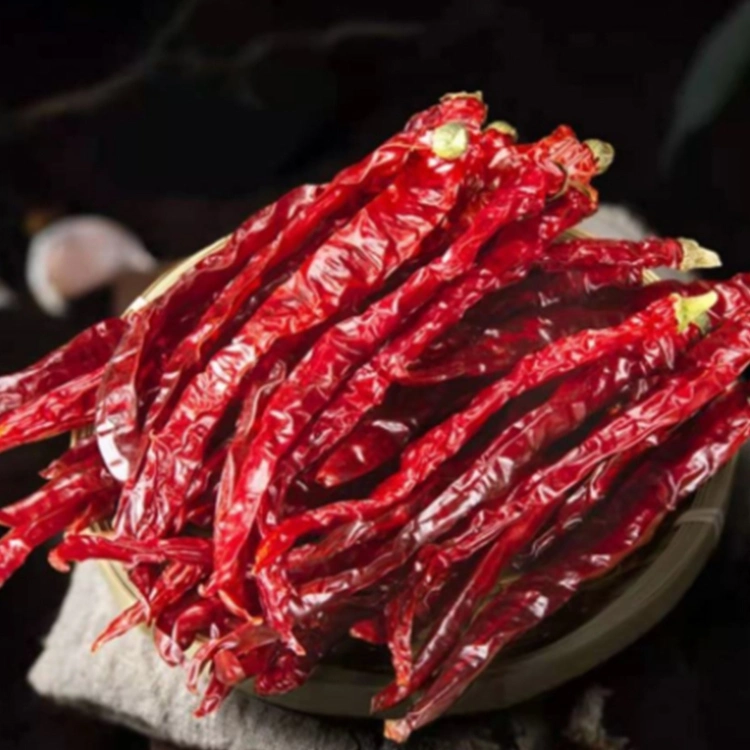 The Delicious Chinese Hot Chili Is Very Popular