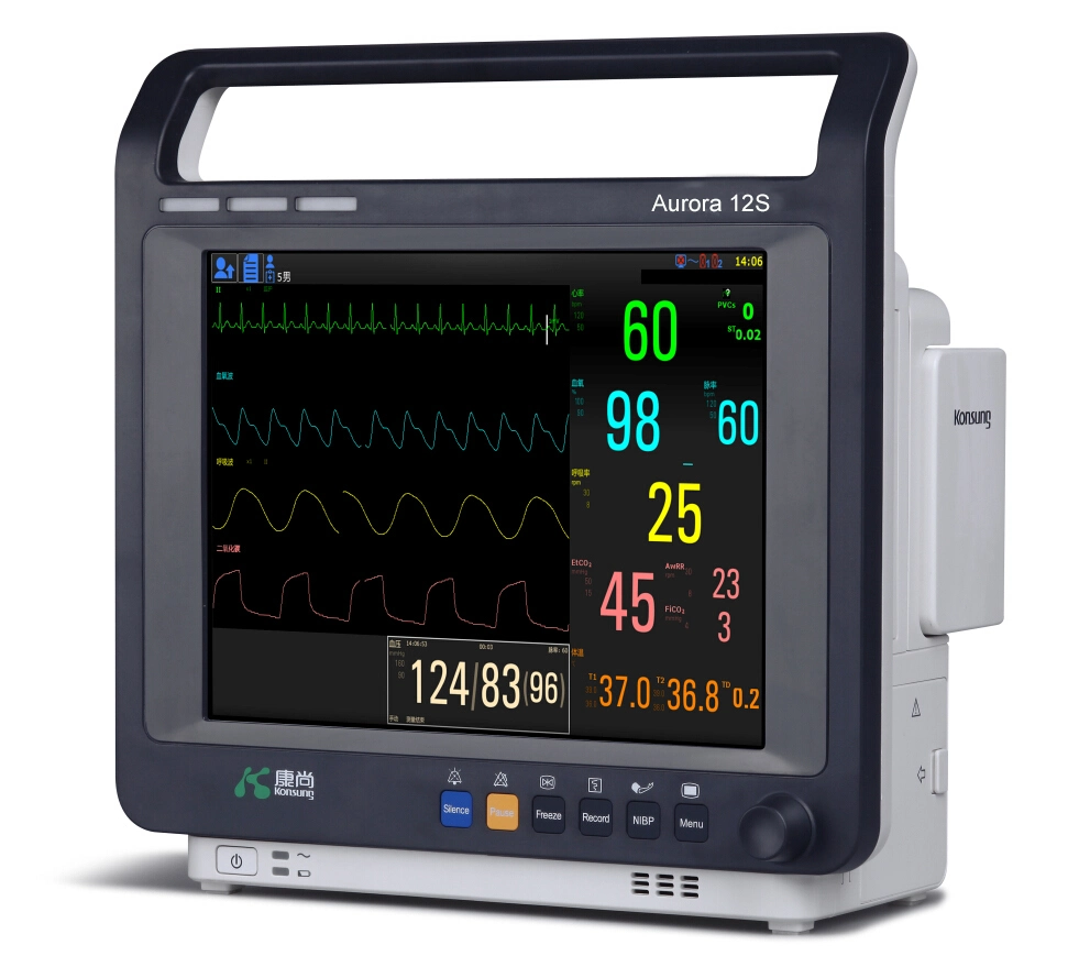 12 Zoll Multi-Parameter Semi-Modular Pet Veterinary Blutdruck-Monitor für Hunde