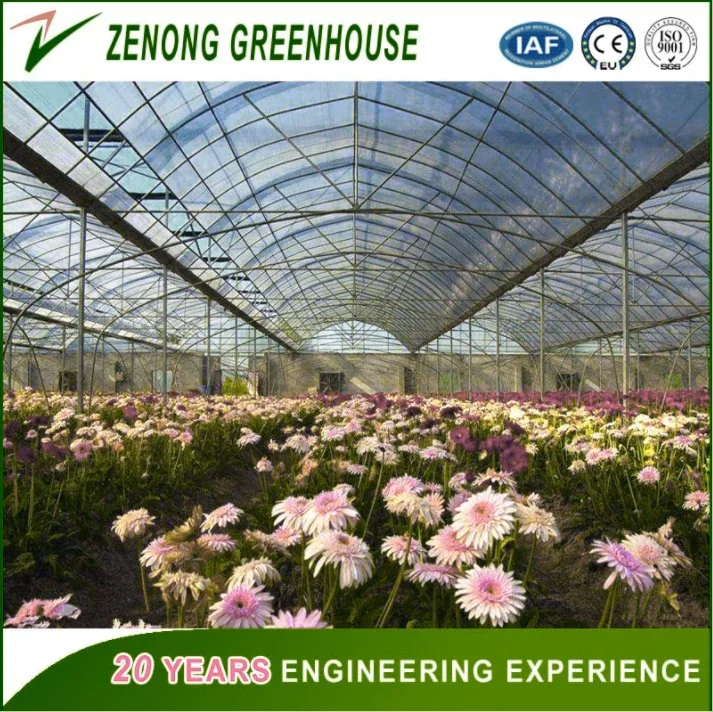 150/200 Micro Po/PE/EVA Film Covered Green House for Vegetables/Medical /Succulents Growing