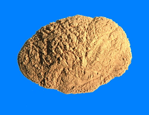 Brown Color Powder High Purity 42.8~44.8% Min Chemical Fertilizer Animal Trace Element Manganese Carbonate