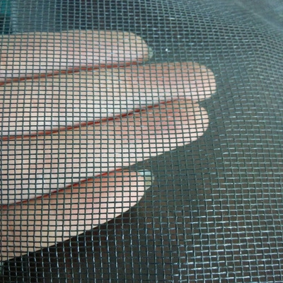 Direct Factory Fiberglass/Aluminum/Stainless Steel Mosquito Window Screen/Wire Netting