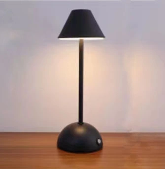 Modern LED Touch Control Lighting Metal Table Lamp with USB Charging