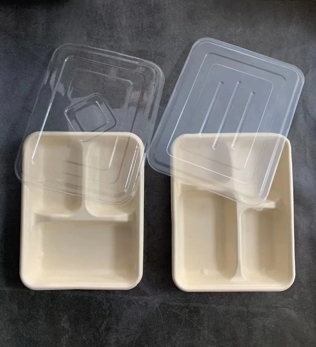 Eco-Friendly Disposable Takeaway Food Tray Biocane Plate Compostable Plates Fast Food Tray 3-Compartment Trays Biodegradable Lunch Food Tray for School, Picnic