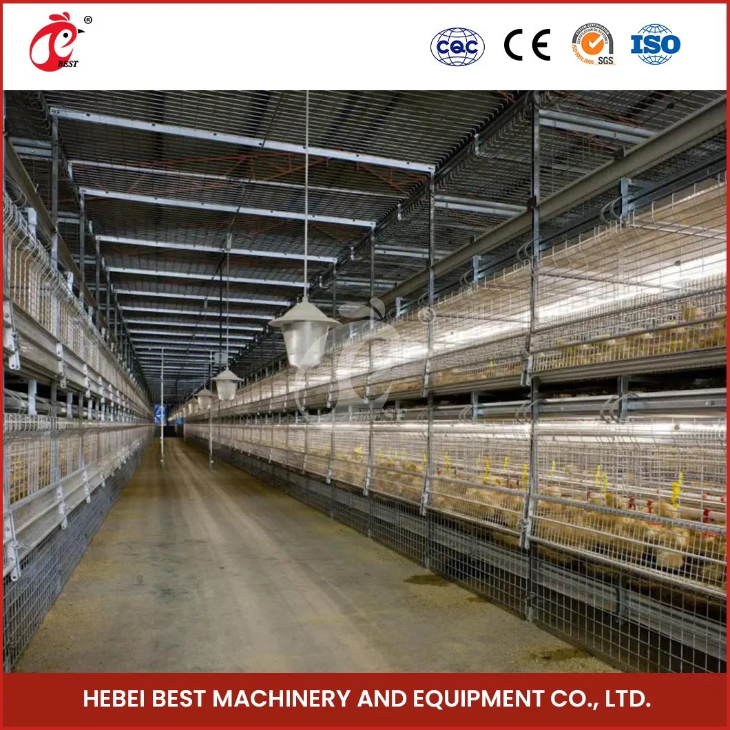 Bestchickencage China Livestock Chicken Cages Suppliers H Frame Automatic Boriler Cages OEM Custom Vacuum Siphon Principle Poultry Battery Cage