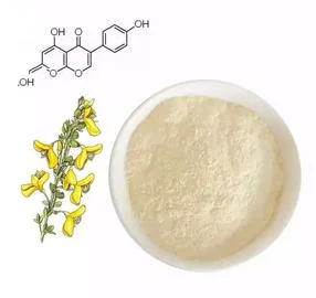 Natural Genista Extract Powder 98% Genistein