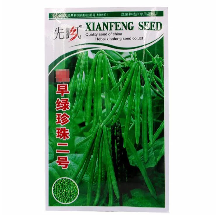 Touchgesunde Versorgung Gute Qualität Bean Sprout Kaufen Mung Bean Samen Zum Anpflanzen