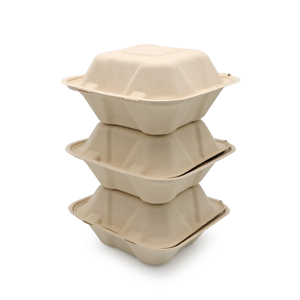 6 pouces biodégradable vaisselle Bagasse produits canne à sucre jetable philippin Bagasse Boîtes à lunch alimentaires en fibres Clamshell Burger