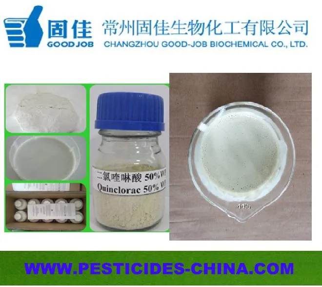 Herbicide de champ de riz Quinclorac 25% SC