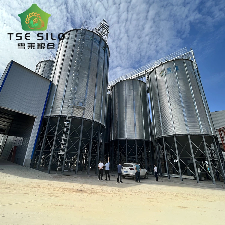 Full Automatic Hot Galvanized 51ton Steel Silo for Animal Food with Cone Bottom