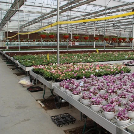 Factory Wholesale/Supplier Greenhouse Movable Seeding Beds for Flowers/Young Plants