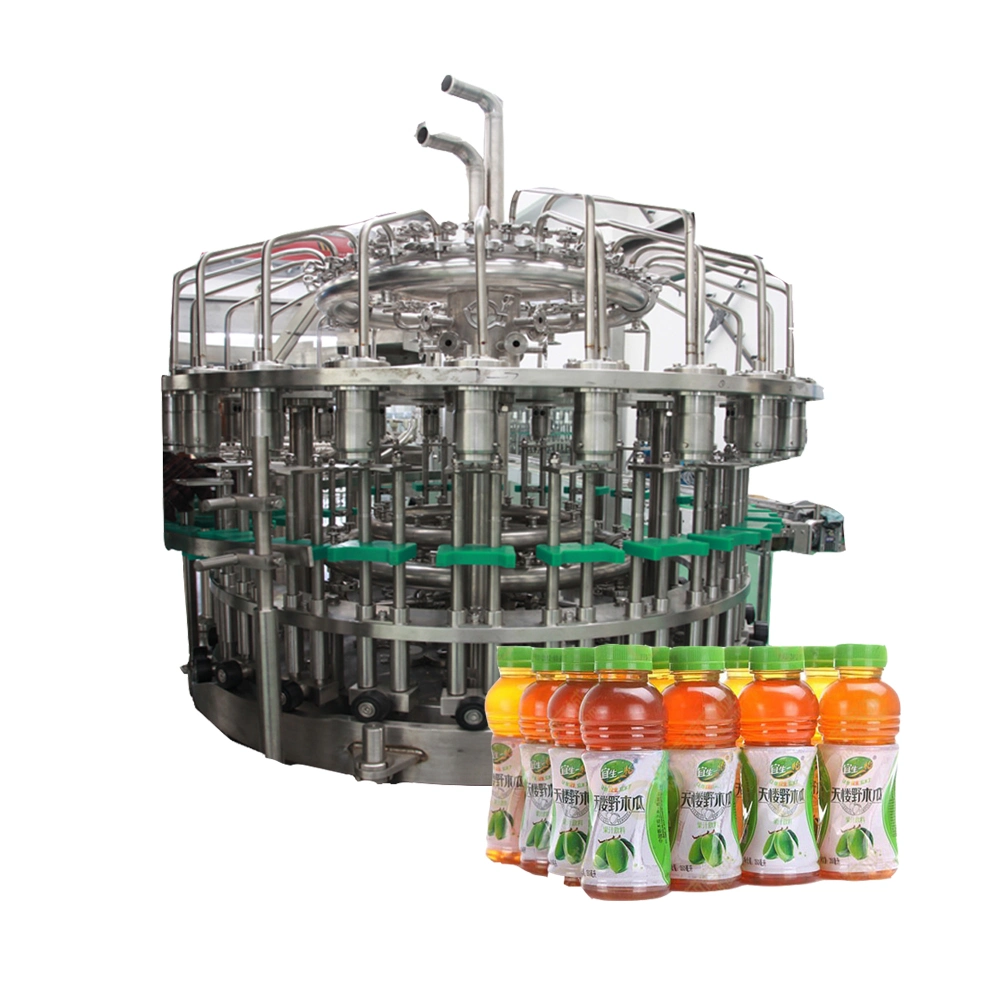 Jugo de la máquina de embalaje automático de la planta de embotellado