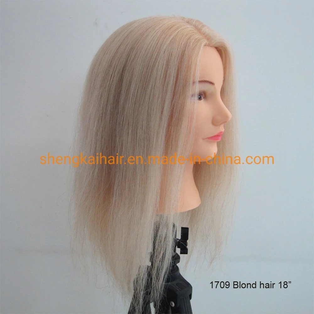 China Wholesale Good Quality Handtied Hairdresser 100 Real Hair Mannequin Heads 688