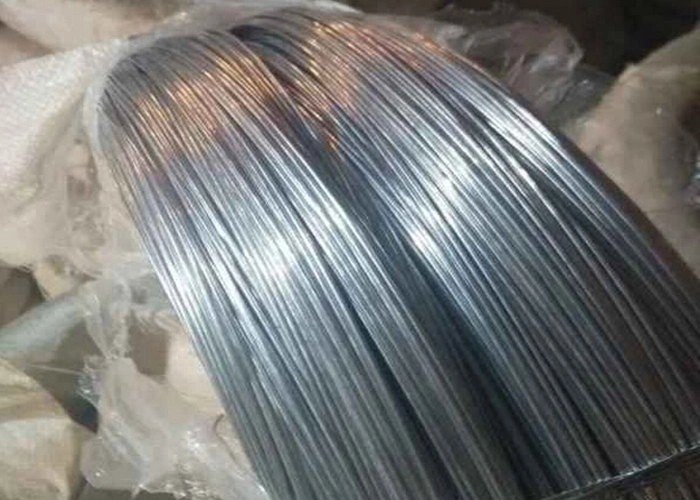 Galvanized Low Carbon Steel Wire/Galvanized Binding Wire