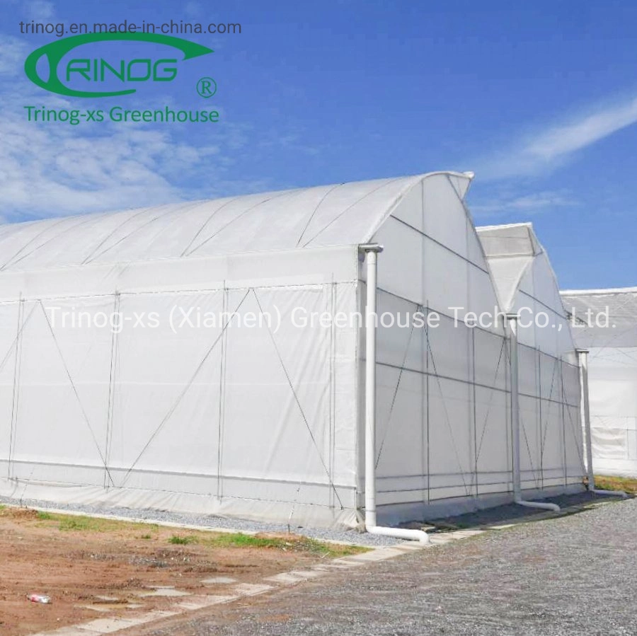 Trinog Greenhouse climate controlled fully automated light depth screen system green house for herb plant