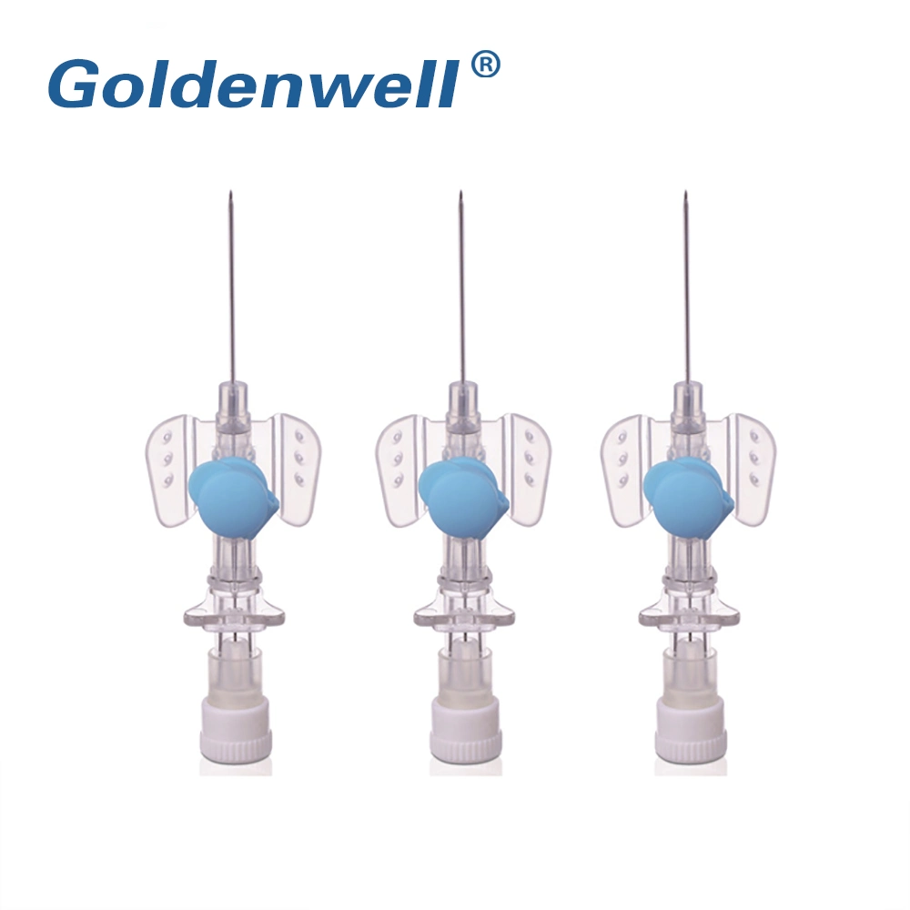 Hot Sale Disposable Medical IV Cannula with Wing Injection Port