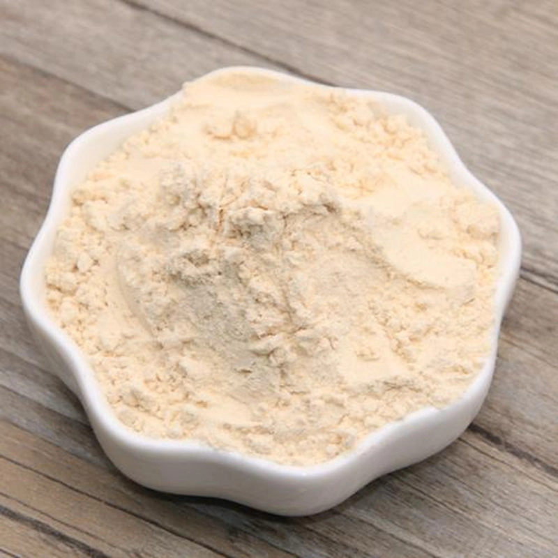 Wholesale/Supplier Dehydrated Garlic Powder Food Flavour Enhancer