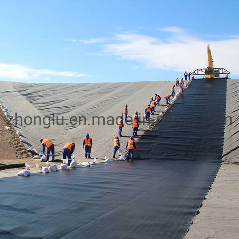 1mm 1.5mm Eco-Friendly HDPE Tailing Tank Smooth Geomembrane Pond Liner