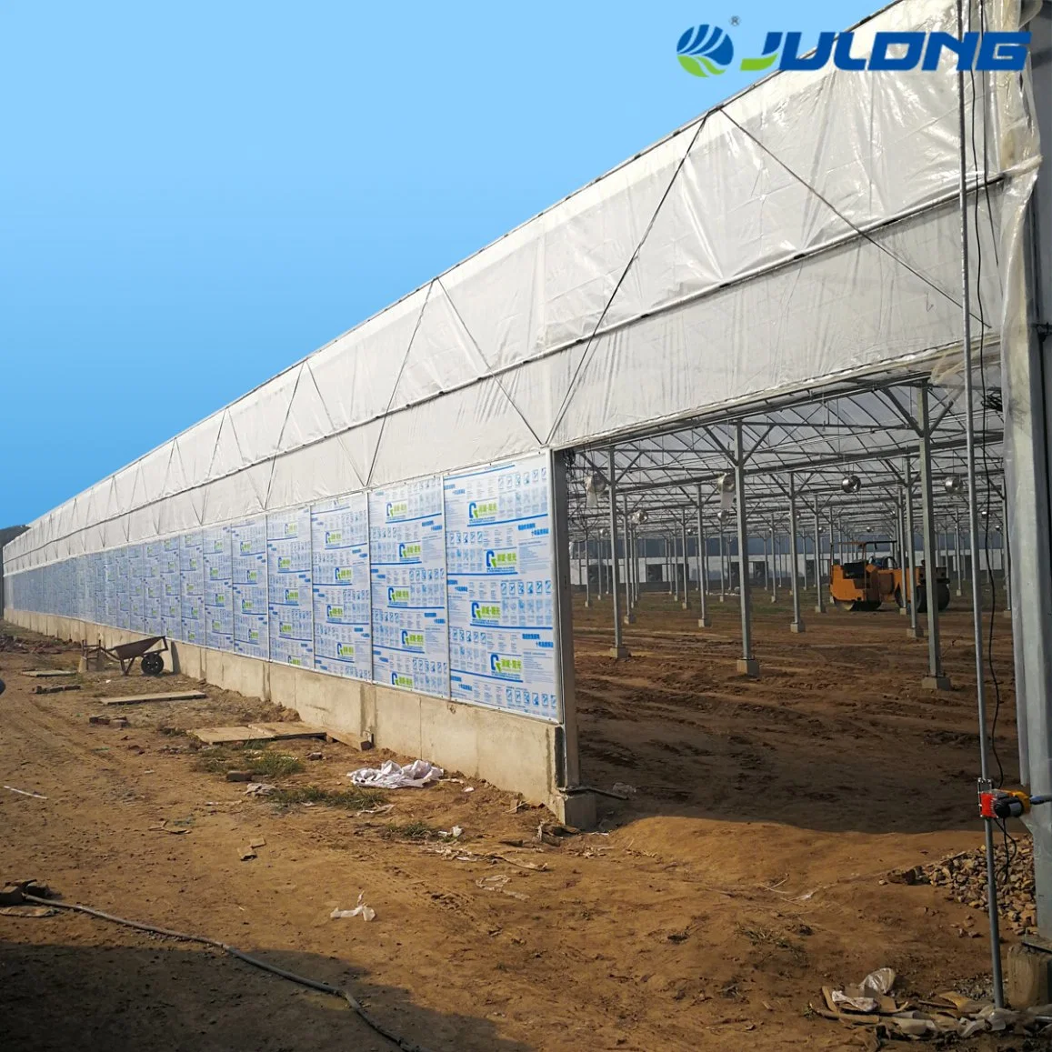 Multi-Span Agriculture Po PE Film Greenhouse for Tomato Planting