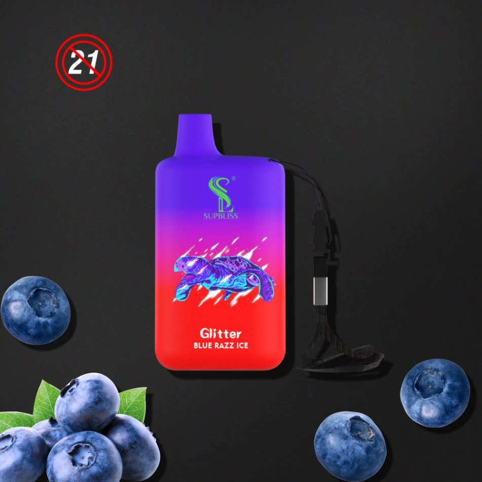 New 2022 Factory High quality/High cost performance  Wholesale/Supplier Vaporizer Supbliss 5800 Puffs 10 Flavors 5% Nic 10 Flavor Disposable/Chargeable Vape Pen