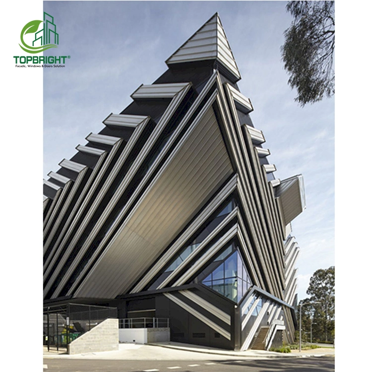 Topbright Manufacture Honey Comb Panel Heat Insulation Aluminium Facade Cladding Decoration Aluminum Curtain Wall