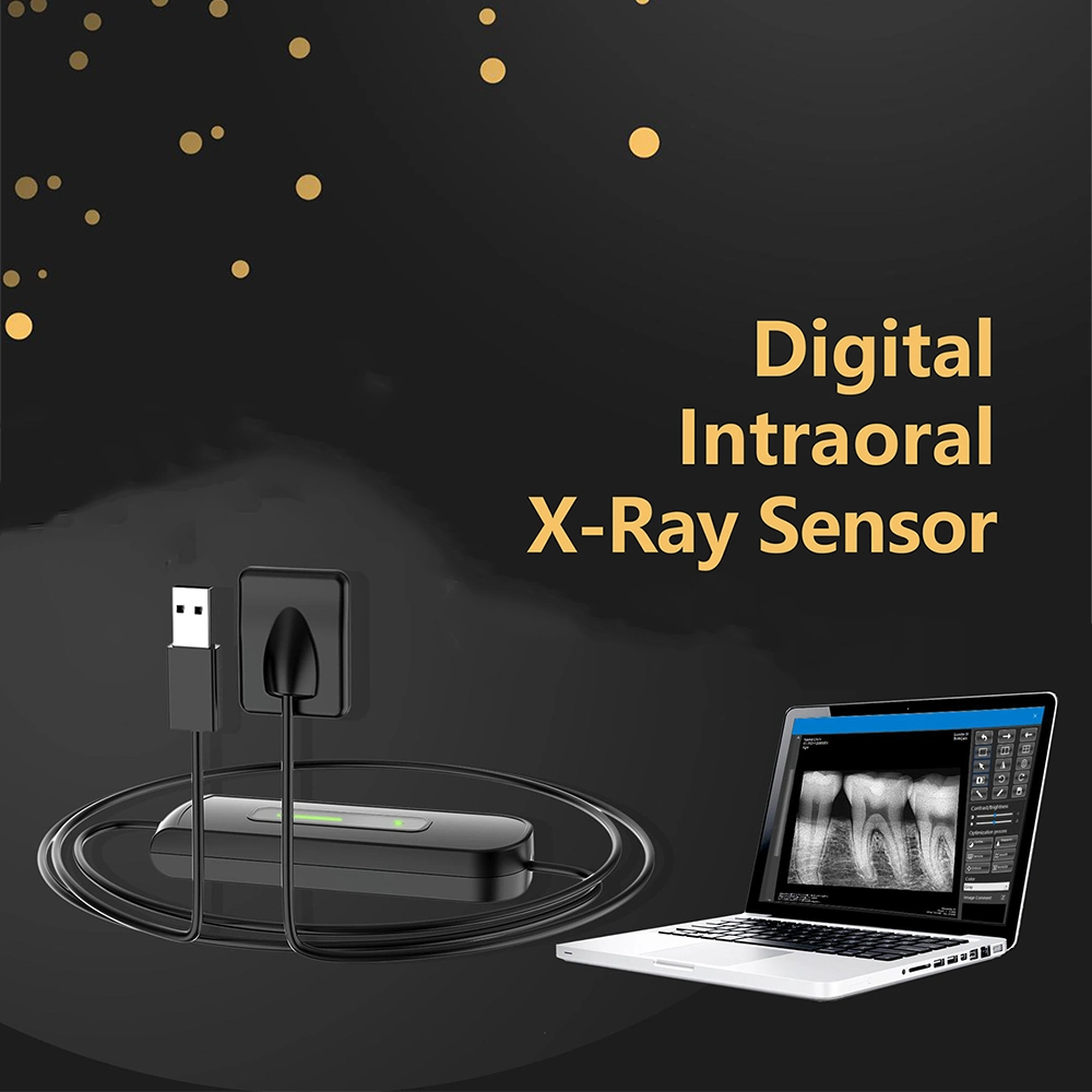 Sensor de raios X intraoral, melhor preço Sensor de RVG dentária boa imagem