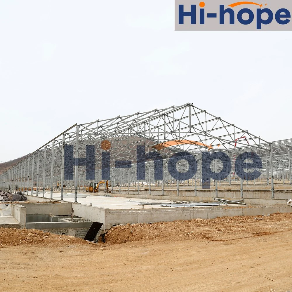 Cheap Chicken Shed Prefabricated Steel Structure in China