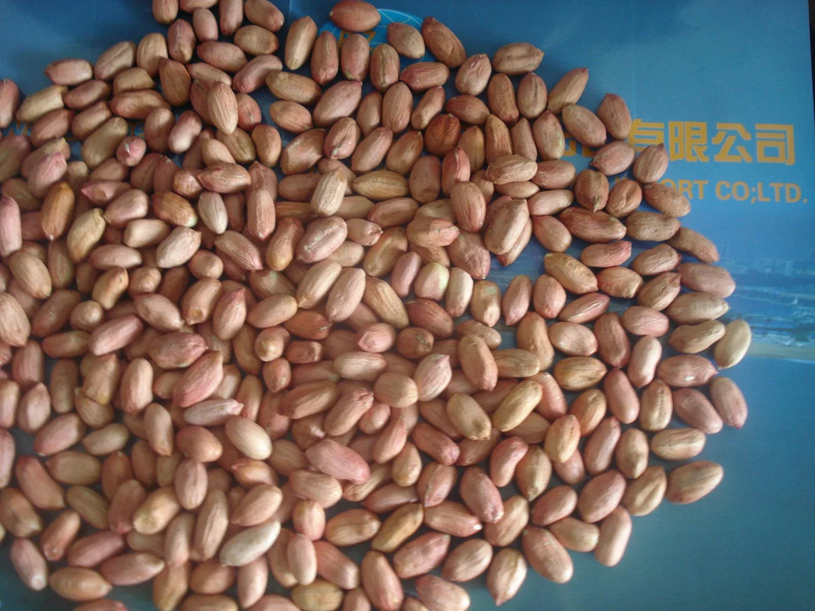 Virginia Luhua Flower Raw Groundnut Kernel 28/32