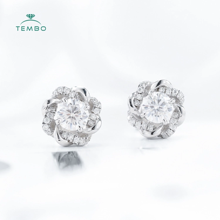 Tembo Round Brillant Cut Lab Grown Diamond 0.53CT 0.6CT D Vvs2 Clarity Cut Loose Hpht CVD Diamond for Jewelry Making