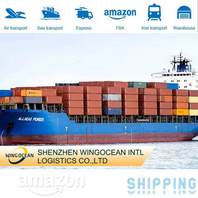 Professional Sea LCL Service International Logistics Freight Forwarder Shipping From China to USA/ Canada/ Europe