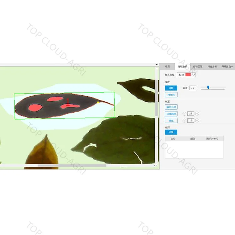 Интеллектуальный анализ площади листьев и измерительной системы